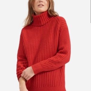 Everlane Turtleneck